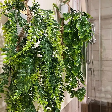 Nicanto's * Bari